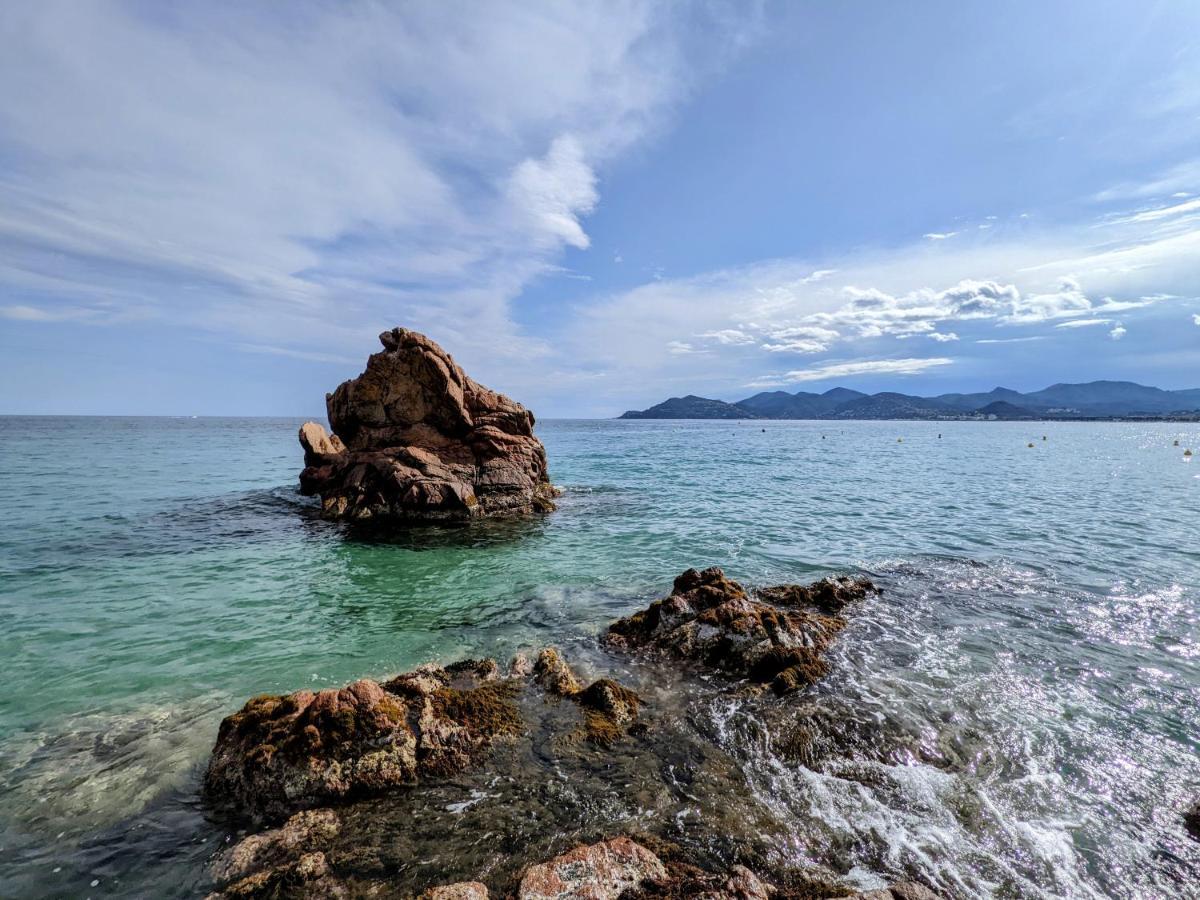 Lovely Holiday Cocoon In Cannes Eksteriør bilde
